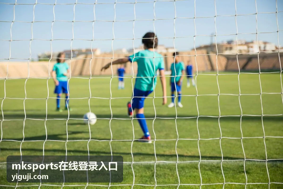 mksports在线登录入口通道与验证流程示意图